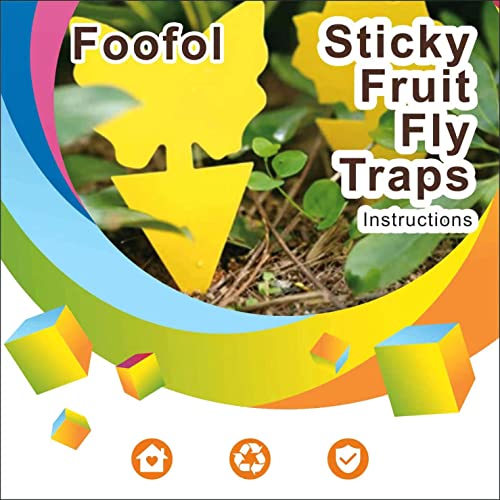 Mosqueda Fruit Fly Traps Fungus Gnat Traps Yellow Sticky Bug Traps 36 Pack No Harm and Odorless for Indoor Outdoor Use Protect The Plant - Image 2
