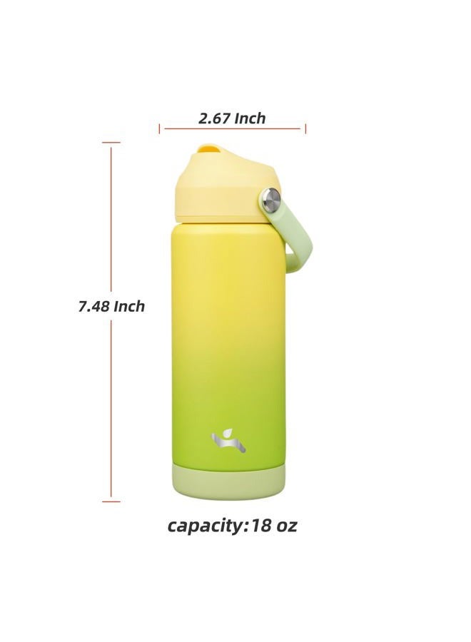 Konokyo Insulated Water Bottle with Straw Lid,18 oz Stainless Steel Vacuum Metal Bottle with Silicone Handle,Lime - Image 2