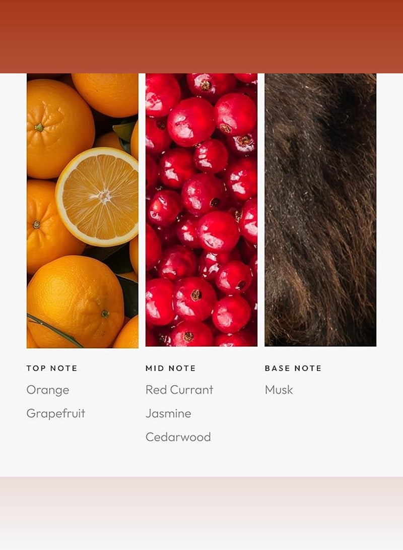 Hotel Collection November Rain Pro-Pod Oil Blend - Hotel Inspired for Luxury Essential Oil Diffusers - Aromatherapy Scent Diffuser Oil - Grapefruit, Orange, and Jasmine - Image 2