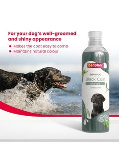 beaphar Beaphar Black Coat Dog Shampoo with Aloe Vera | Soft & Glossy Coat | Herbal Shampoo for Black Dog - 250 ML  - Image 3