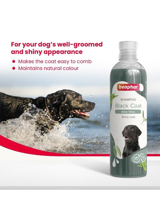 Beaphar Black Coat Dog Shampoo with Aloe Vera | Soft & Glossy Coat | Herbal Shampoo for Black Dog - 250 ML