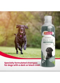 beaphar Beaphar Black Coat Dog Shampoo with Aloe Vera | Soft & Glossy Coat | Herbal Shampoo for Black Dog - 250 ML  - Image 4