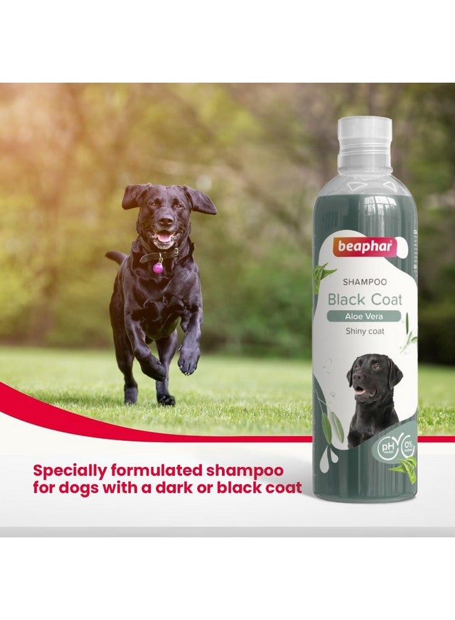 Beaphar Black Coat Dog Shampoo with Aloe Vera | Soft & Glossy Coat | Herbal Shampoo for Black Dog - 250 ML
