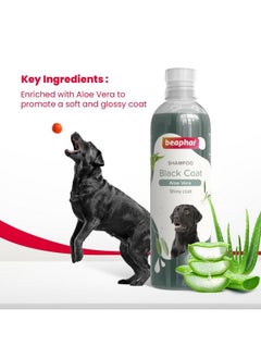 beaphar Beaphar Black Coat Dog Shampoo with Aloe Vera | Soft & Glossy Coat | Herbal Shampoo for Black Dog - 250 ML  - Image 5