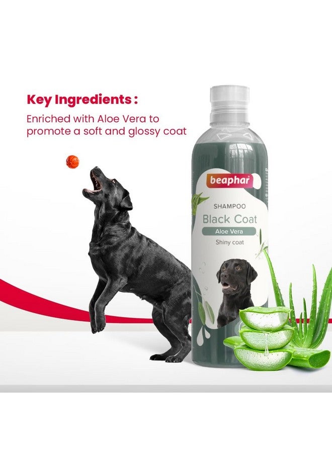 Beaphar Black Coat Dog Shampoo with Aloe Vera | Soft & Glossy Coat | Herbal Shampoo for Black Dog - 250 ML