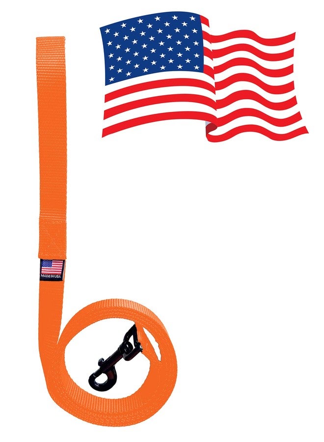 Enterprises Dog Leash Lead 10 Foot with Swivel Snap Bolt Made in The USA of 1" Polypro Heavy Weight Webbing 16 Colors Great Economical Animal Leash (Orange) - Image 1