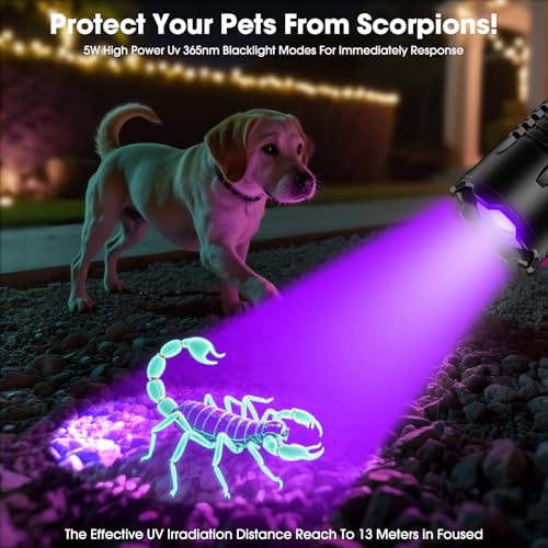 Hoxida UV Blacklight&High Lumens Flashlight Rechargeable, Powerful Blacklight Flashlights for Pet Urine Detection, Resin Curing, Scorpion, Zoomable Waterproof Tactical LED Flashlight for Camping, Emgergency - Image 3