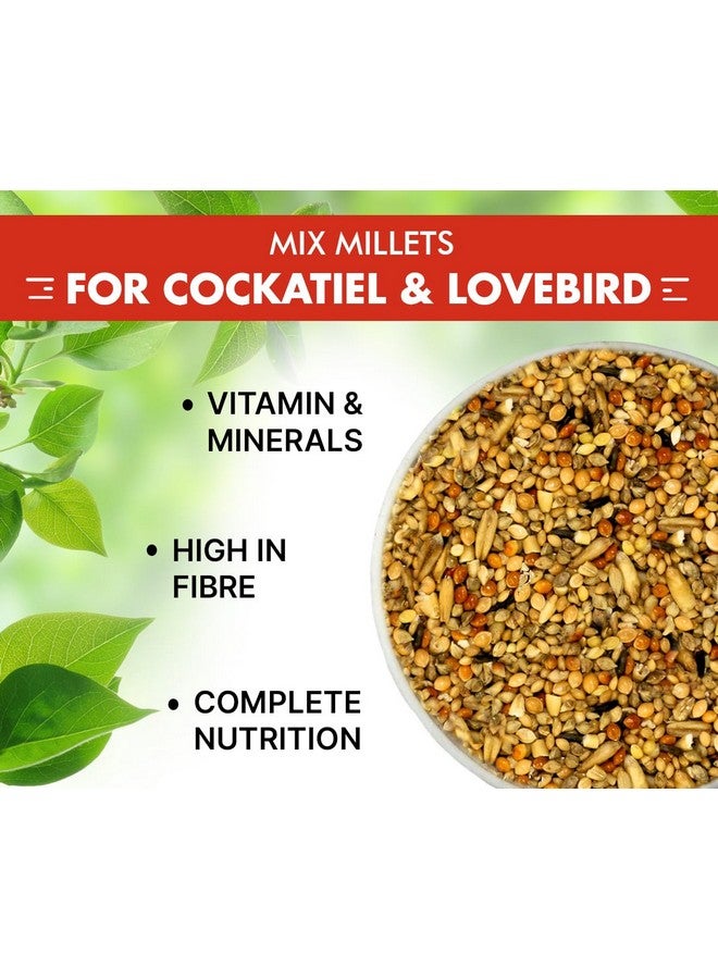 Boltze طعام بذور الطيور البالغة للكوكتيل والطيور العاشقة مزيج من البذور - دخن ذيل الثعلب، الدخن الأصفر، بذور الكناري، بذور عباد الشمس، مزيج من البذور للطيور العاشقة والكوكتيل (مزيج من البذور 500 جرام) - Image 5