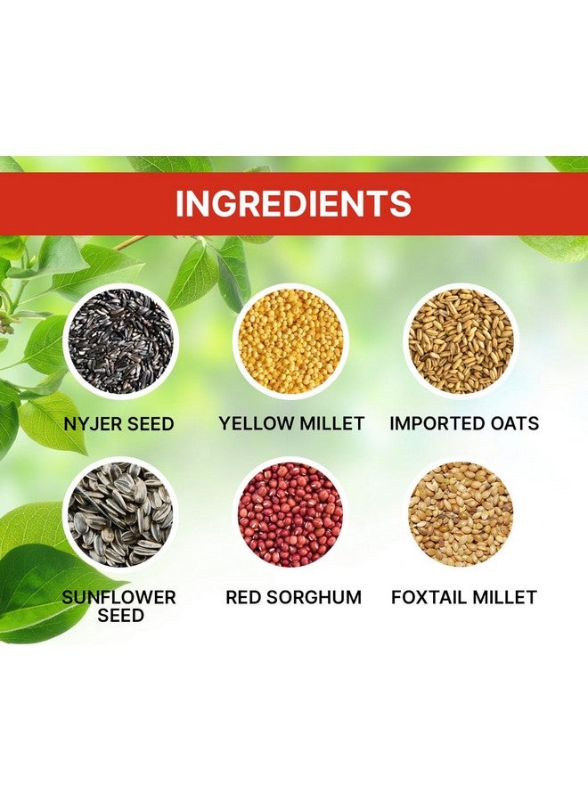 Boltze طعام بذور الطيور البالغة للكوكتيل والطيور العاشقة مزيج من البذور - دخن ذيل الثعلب، الدخن الأصفر، بذور الكناري، بذور عباد الشمس، مزيج من البذور للطيور العاشقة والكوكتيل (مزيج من البذور 500 جرام) - Image 2