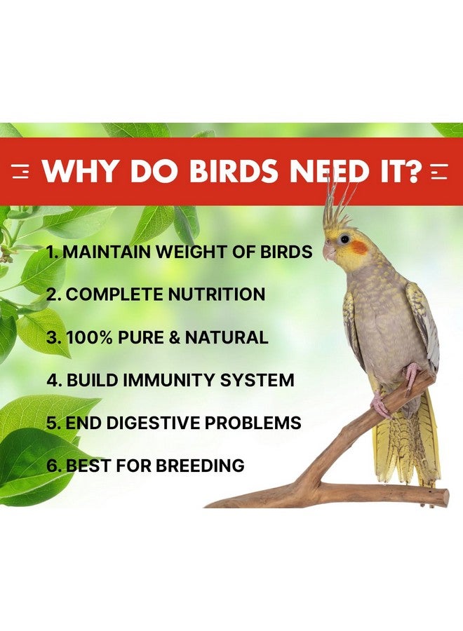 Boltze طعام بذور الطيور البالغة للكوكتيل والطيور العاشقة مزيج من البذور - دخن ذيل الثعلب، الدخن الأصفر، بذور الكناري، بذور عباد الشمس، مزيج من البذور للطيور العاشقة والكوكتيل (مزيج من البذور 500 جرام) - Image 3