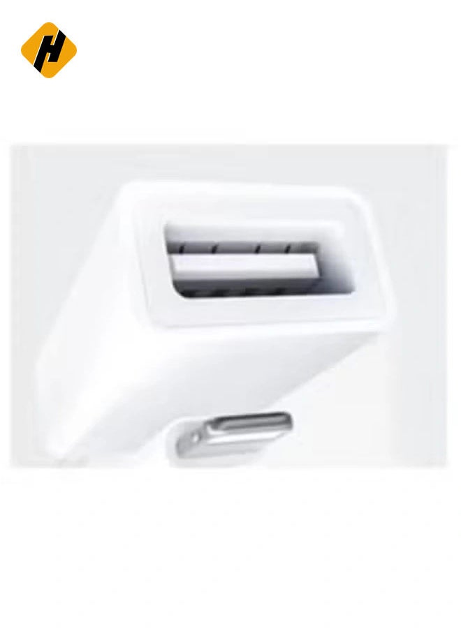 HuHa - GS10 OTG to Lightning Adapter – Efficient Data Transfer and USB Connectivity for iOS Devices - Image 1