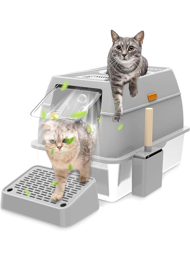 topSlotContent