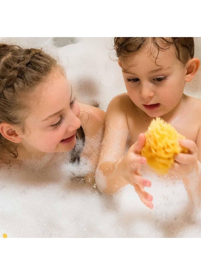 Bellini إسفنجة بحرية طبيعية على شكل قرص العسل - 8 سم - مصنوعة من إسفنجة بحرية طبيعية - إسفنجة استحمام مضادة للحساسية للأطفال - قابلة للتحلل، صديقة للبيئة ولطيفة على حديثي الولادة والبشرة الحساسة - Image 2