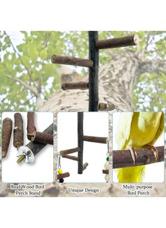 Hamiledyi Hamiledyi Bird Perch Stand Toy, Natural Wood Bird Perch Stand Bird Perch Toy with Rotating Balls Spinning Bird Toys Parakeet Stand Perch Toy for Parakeets Cockatiels Conures Budgies Finches Love Birds  - Image 3