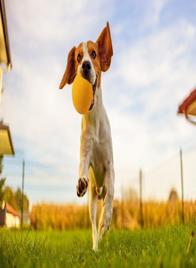 OllyDog كرة أولي دوغ هابي كامبر، كرة مطاطية صلبة قابلة للارتداد للكلاب التي تمضغ بقوة، مطاط طبيعي، للكلاب التي يقل وزنها عن 50 رطلاً، قطر 2.5 بوصة (مانجو) - Image 3