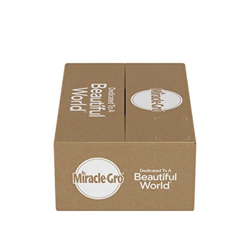 Miracle-Gro Water Soluble All Purpose Plant Food, Plant Fertilizer for Indoor or Outdoor Plants, Roses, Flowers, Houseplants, Vegetables and Trees, 6.25 lb. - Image 4