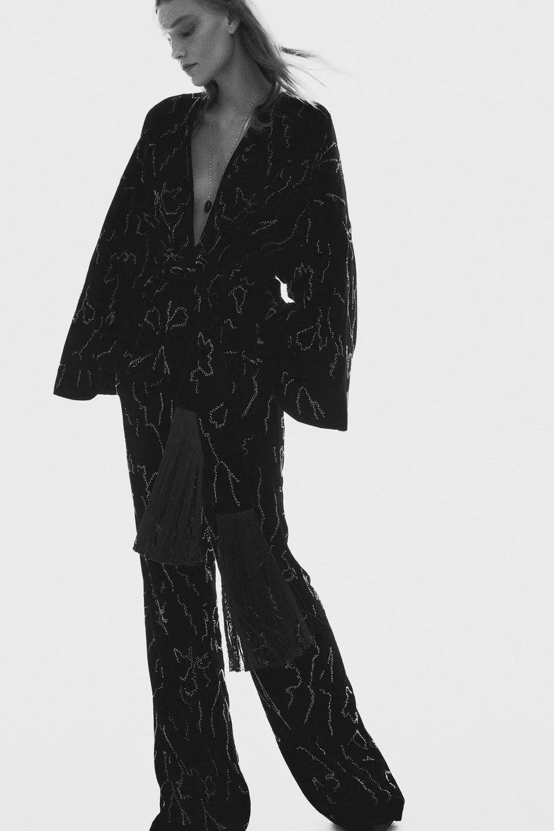 H&M Embroidered velvet trousers