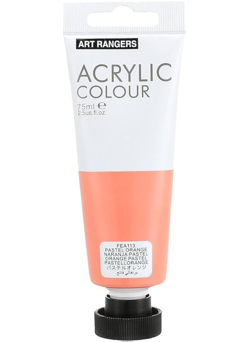 ART RANGERS Art Rangers Acrylic 75 Ml - Pastel Orange No.113 