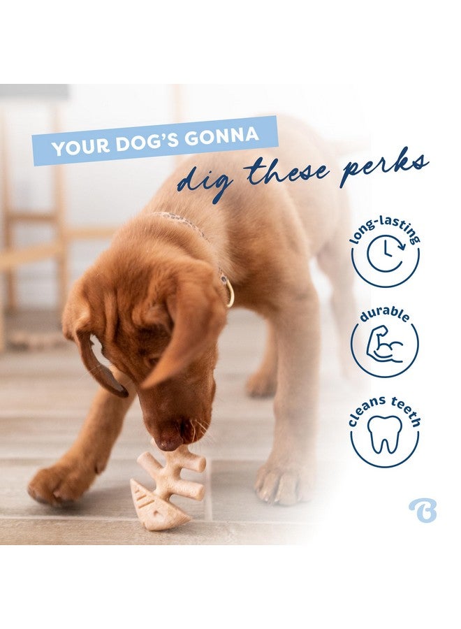 Benebone Puppy Fishbone Dog Chew Toys, Softer For Modest Chewers, Made In Usa - Image 3