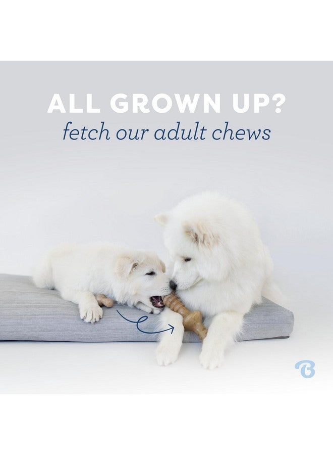 Benebone Puppy Fishbone Dog Chew Toys, Softer For Modest Chewers, Made In Usa - Image 5