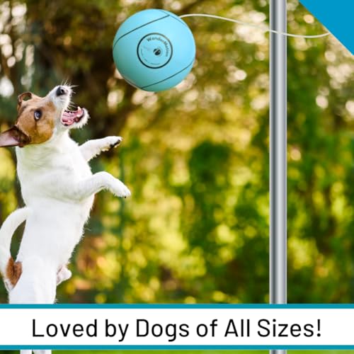 Revive Wonder WonderMotion Outdoor Tetherball with 360° Swivel Hook – Recreational Sports – Light Aquamarine - Image 3