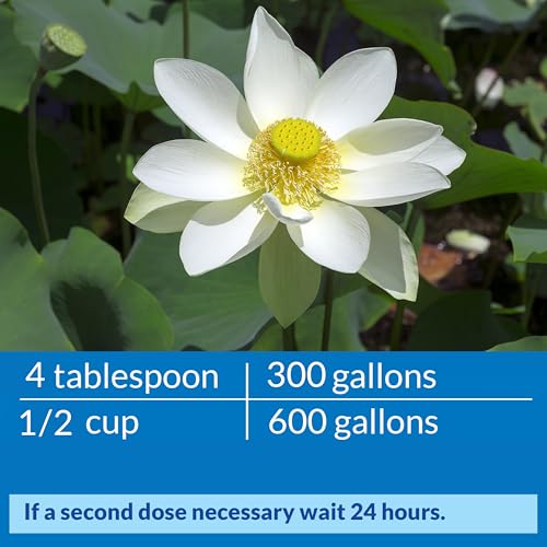 API POND ACCU-CLEAR Pond Water Clarifier 64-Ounce Bottle (142D) - Image 5