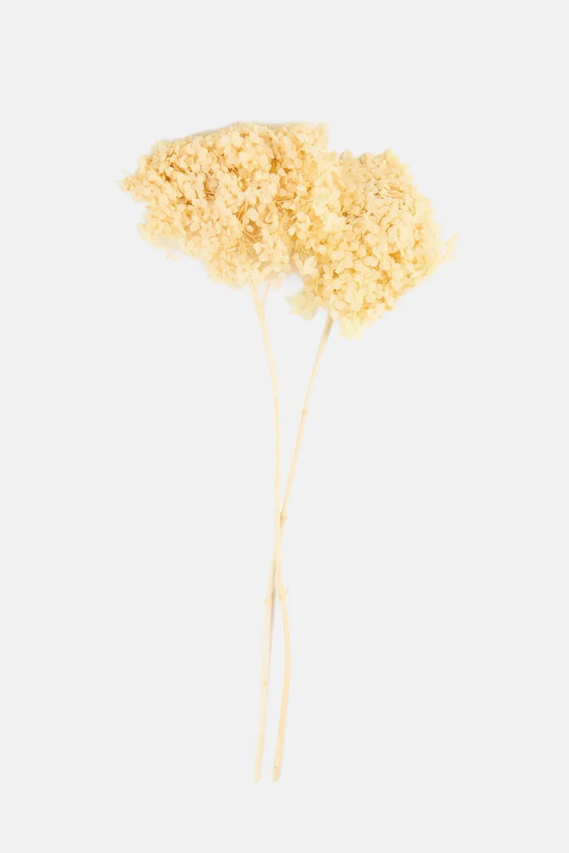 موي موتشو Dried Hydrangea Flower, Peach
