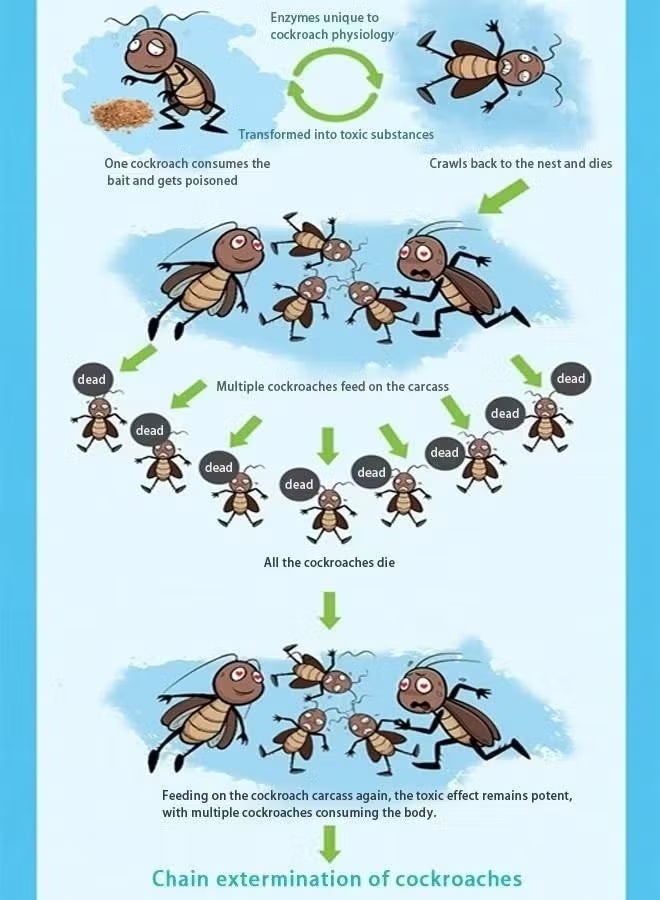 Cockroach طقم جيل طعم الصراصير البني لمكافحة الآفات أصلي من الولايات المتحدة الأمريكية - Image 3