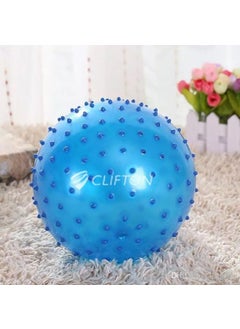 Buffer Spiny Gymnastics Ball 65 cm Blue + Pump 