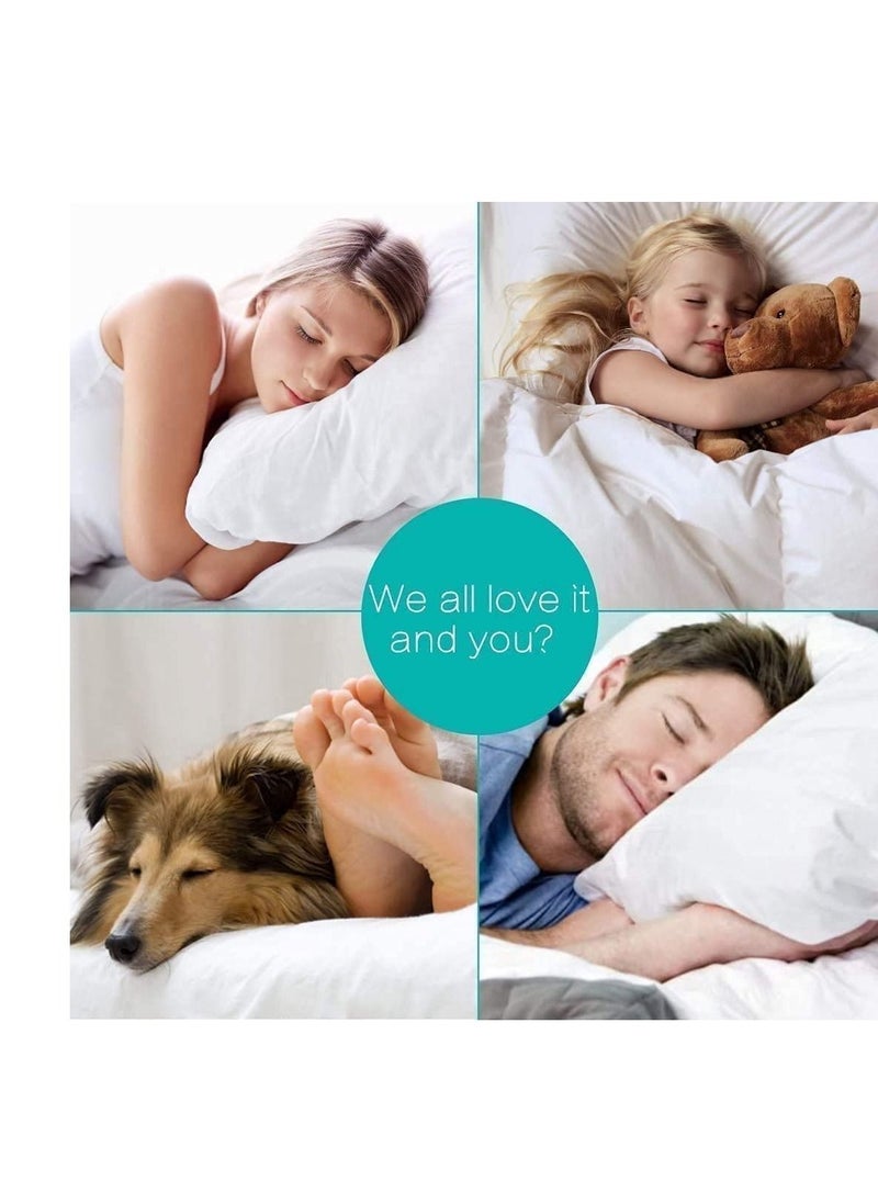 VITAL - Vital Waterproof Mattress Protector Queen - 160 x190 cm - Image 1