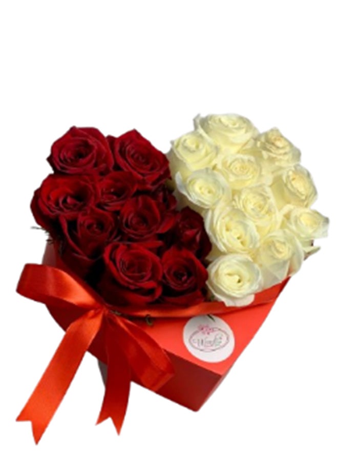 wardi Red And Wehite Roses In Red Heart Box