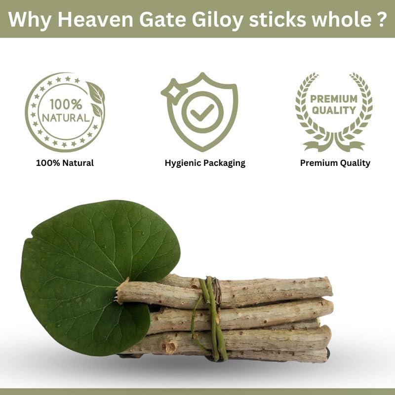 HEAVEN GATE Giloy Dried Sticks (100 g) | Guduchi, Neem Tree Guruch & Giloya Plant Stems | GUDUCHI | GILOY CUTTING | SANSHAMANI | AMRITA | GILOE - Image 3