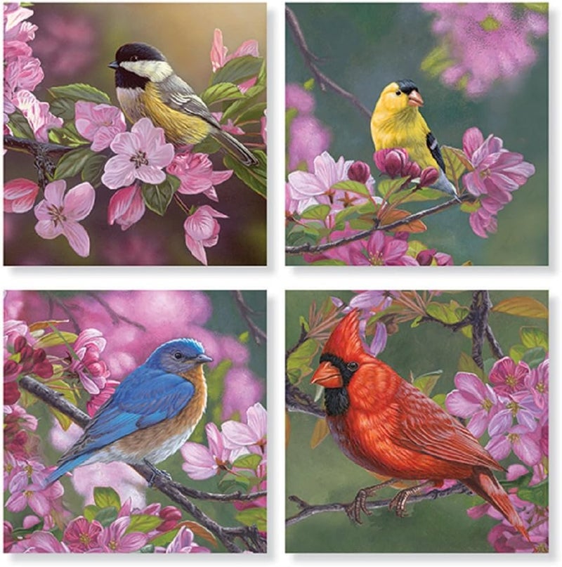 Set of 4 Mixed Birds on Pink Flowers Square Stone Coaster Set by Carson Home Accents