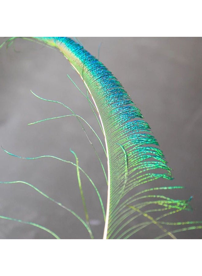 Y&D 50-Piece Natural Peacock Feather For Diy Handicraft Green 35*35*35cm - Image 5