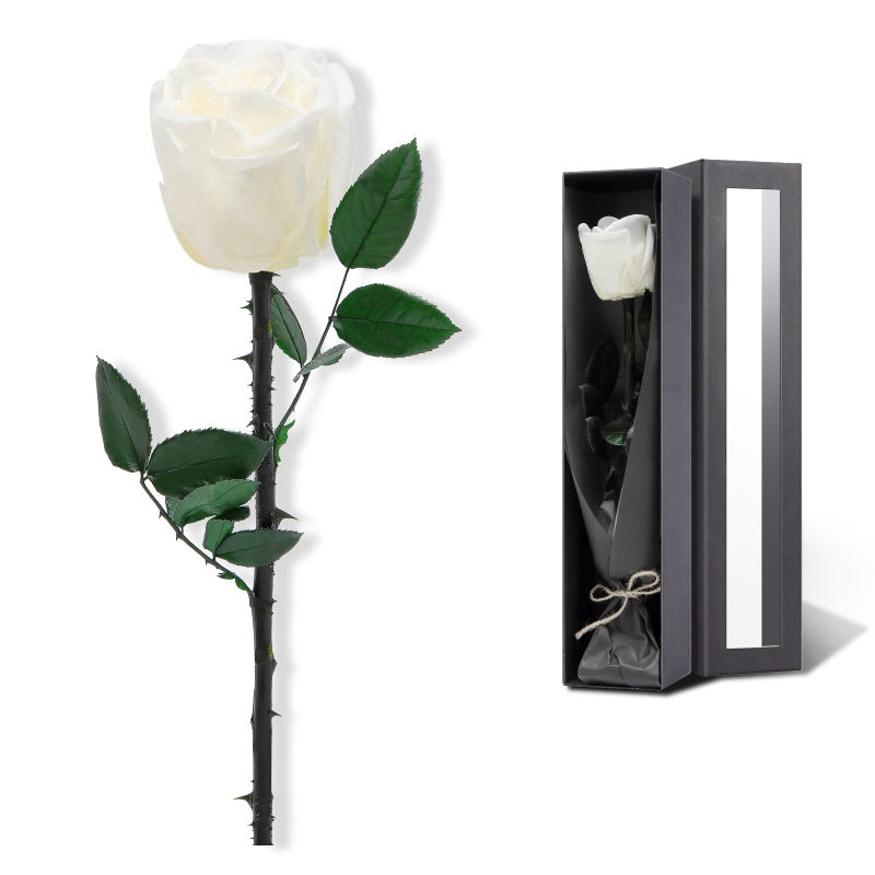 White Flowers for Delivery Prime Preserved White Roses Flower Gifts for Women Real Roses Single Rose Gifts for Her Mom Birthday Gifts from Daughter Valentines Flowers
