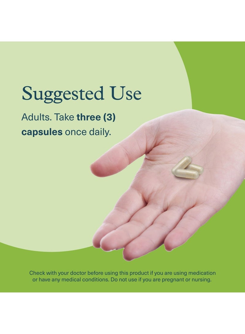 youtheory Mushroom Stress Complex Helps Reduce Stress + Promotes Mental Calmness featuring clinically studied sun theanine 60 Vegetarian Capsules - Image 2