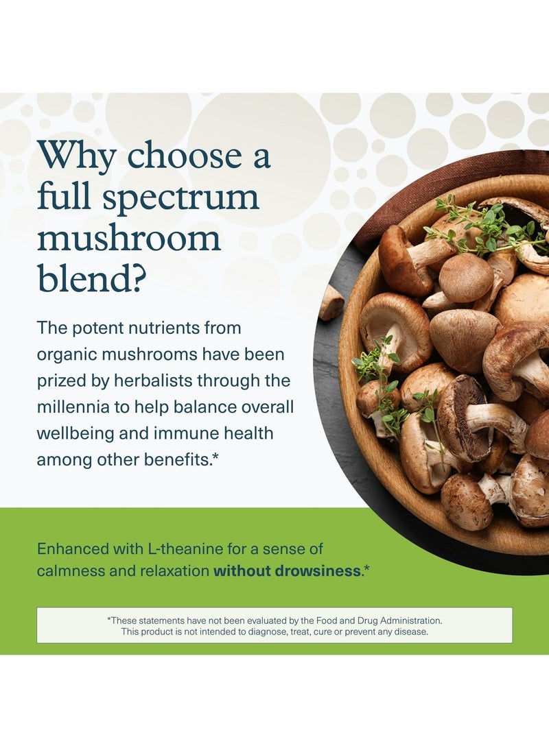 youtheory Mushroom Stress Complex Helps Reduce Stress + Promotes Mental Calmness featuring clinically studied sun theanine 60 Vegetarian Capsules - Image 5