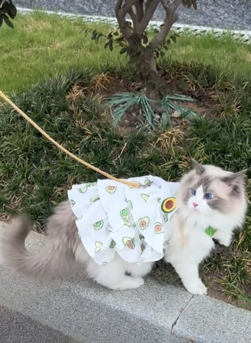 A.M Dress for Small Dogs Summer Puppy Cute Sundress Lightweight Breathable Female Dog Clohtes Birthday Holiday Pet Outfits - Image 1