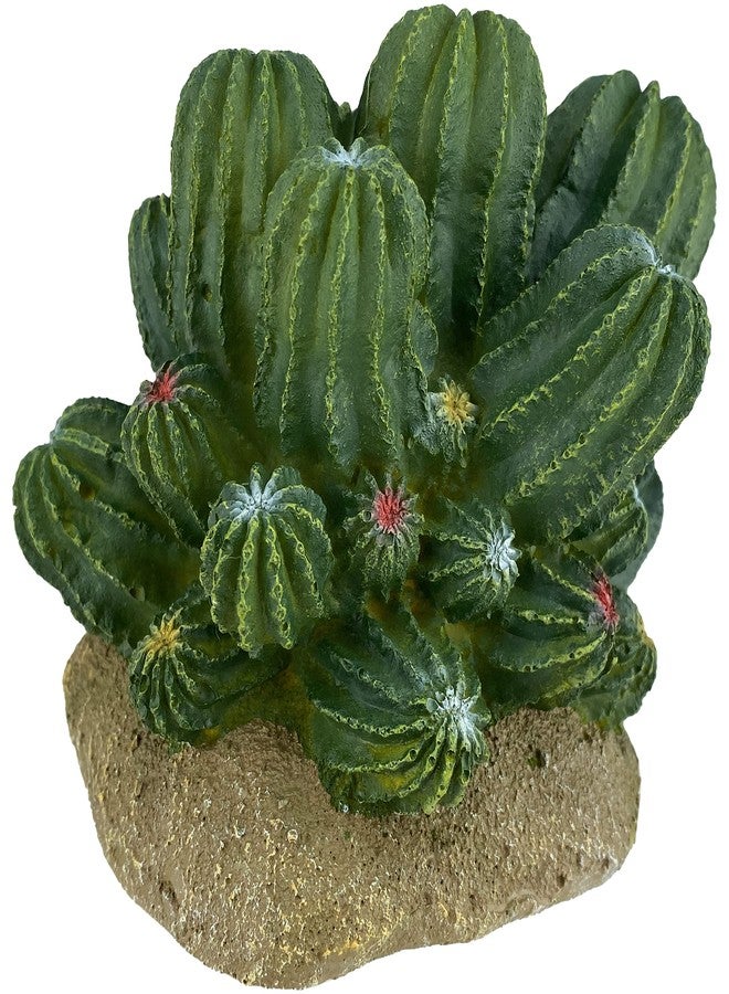 Multipet Multi Pet 48593321: Komodo Cactus Plant Barrel, 4In - Image 3