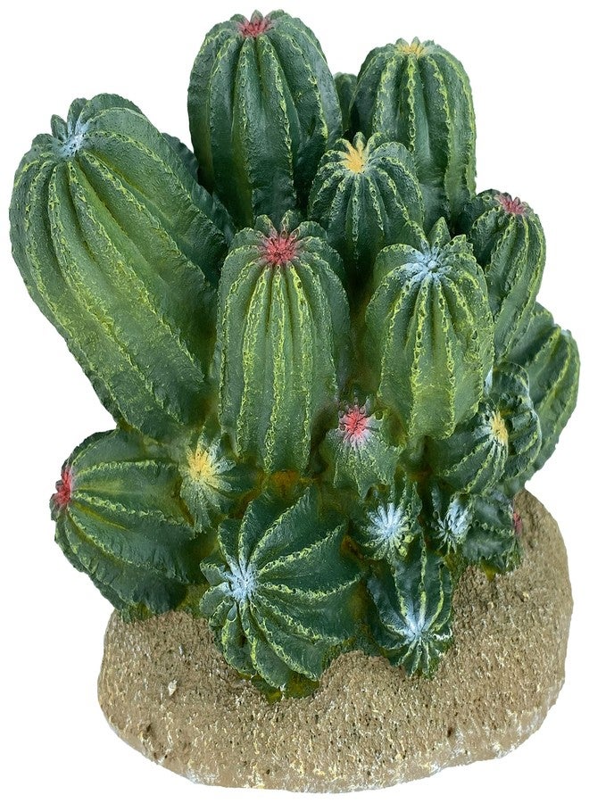 Multipet Multi Pet 48593321: Komodo Cactus Plant Barrel, 4In - Image 1