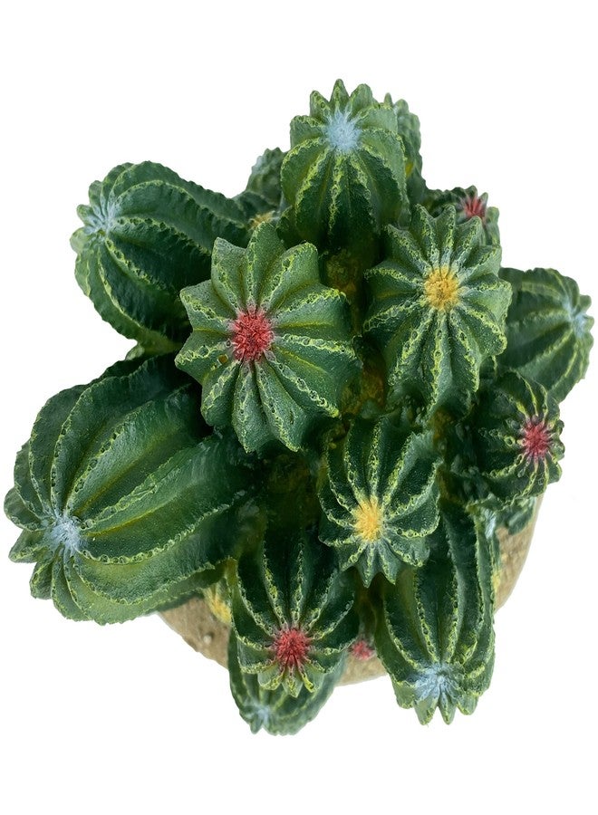 Multipet Multi Pet 48593321: Komodo Cactus Plant Barrel, 4In - Image 4