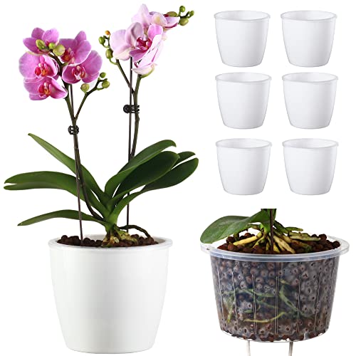 DELF 6 Pack 67 SelfWatering Planters Flower Pots for Indoor Garden Devils Ivy African Violet Ocean Spider Plant Orchid White Color