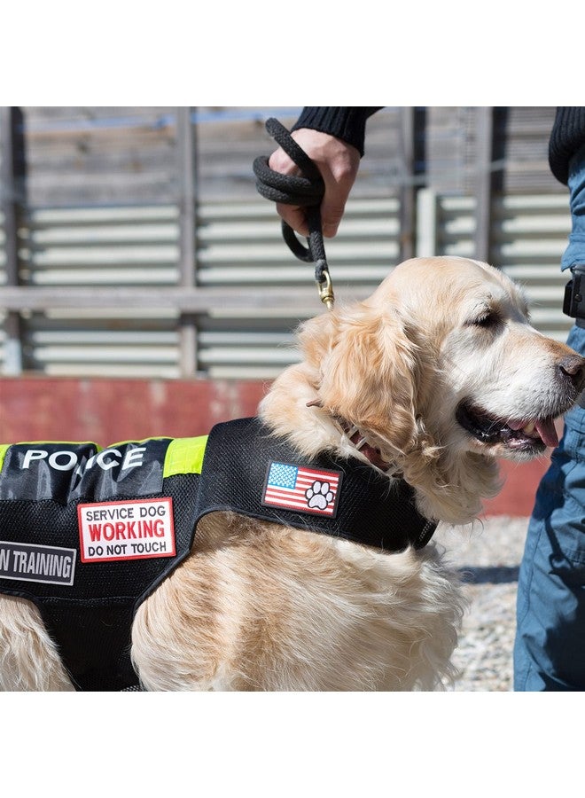 Canlierr 12 Pieces Service Dog Vest Patches with Adhesive Strap Removable Harnesses Tactical Hook and Loop Patch Set of American Flag Ask to Pet in Training - Image 4