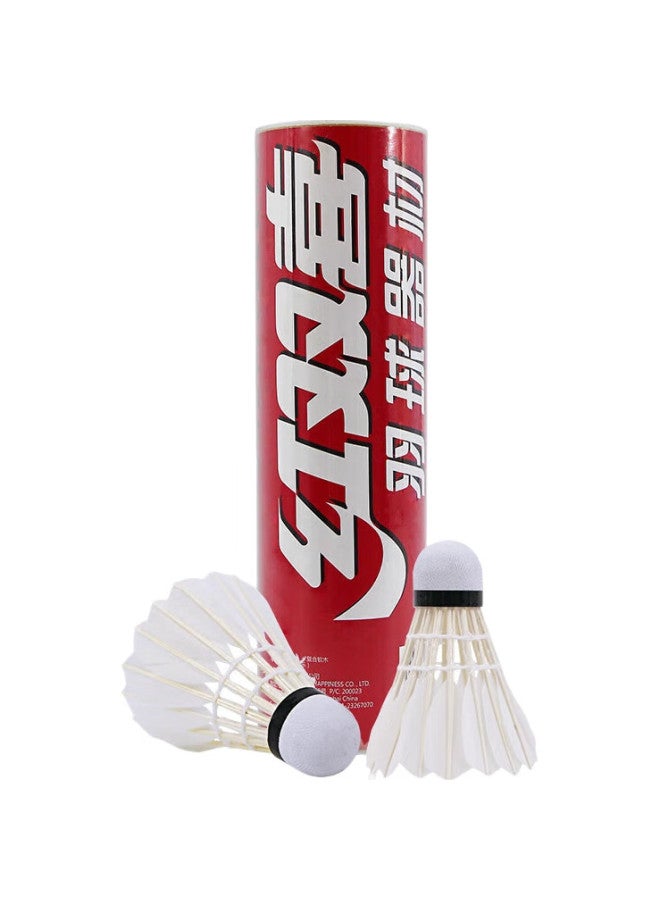 DHS Badminton Shuttlecocks For Beginners, Affordable 6-Pack Per Tube - Image 3