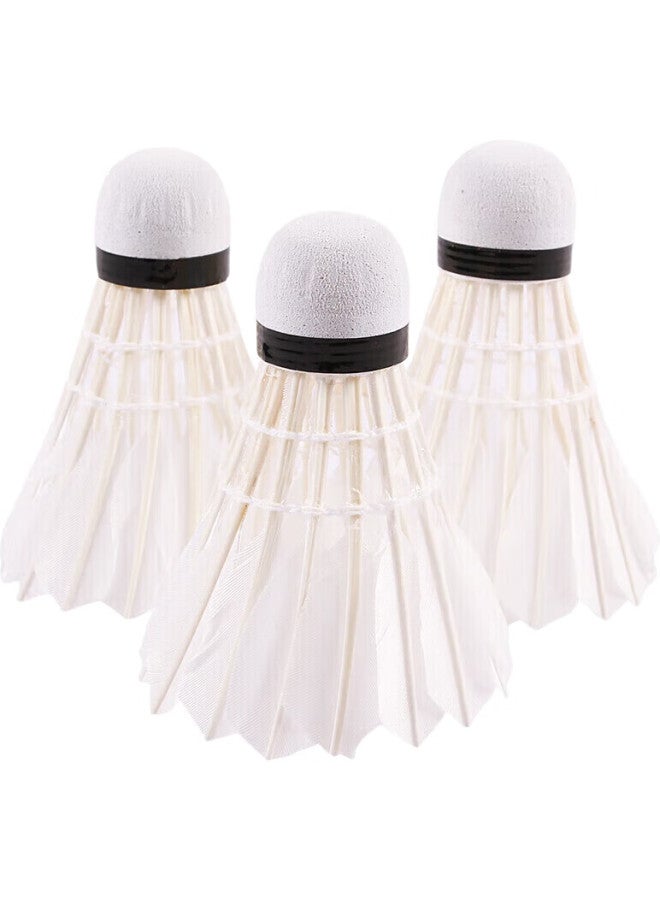 DHS Badminton Shuttlecocks For Beginners, Affordable 6-Pack Per Tube - Image 1