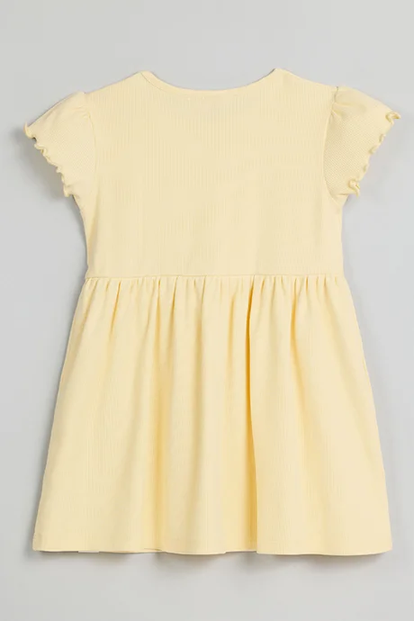 R&B Ribbed Fit & Flare Dress with Crew Neck and Short Sleeves