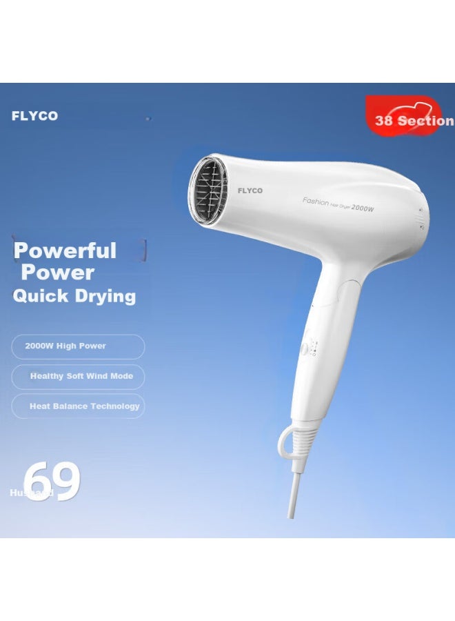 Flyco Hair Dryer For Home And Salon Use, High Power 2000w, Quick-drying, Constant Temperature, Portable, Foldable, White Fh6232 - Image 1