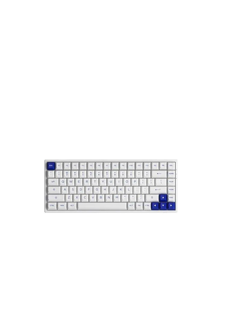 AKKO AKKO 3084B Plus White & Blue Multi-Mode Keyboard - V3 Cream Yellow  - Image 1