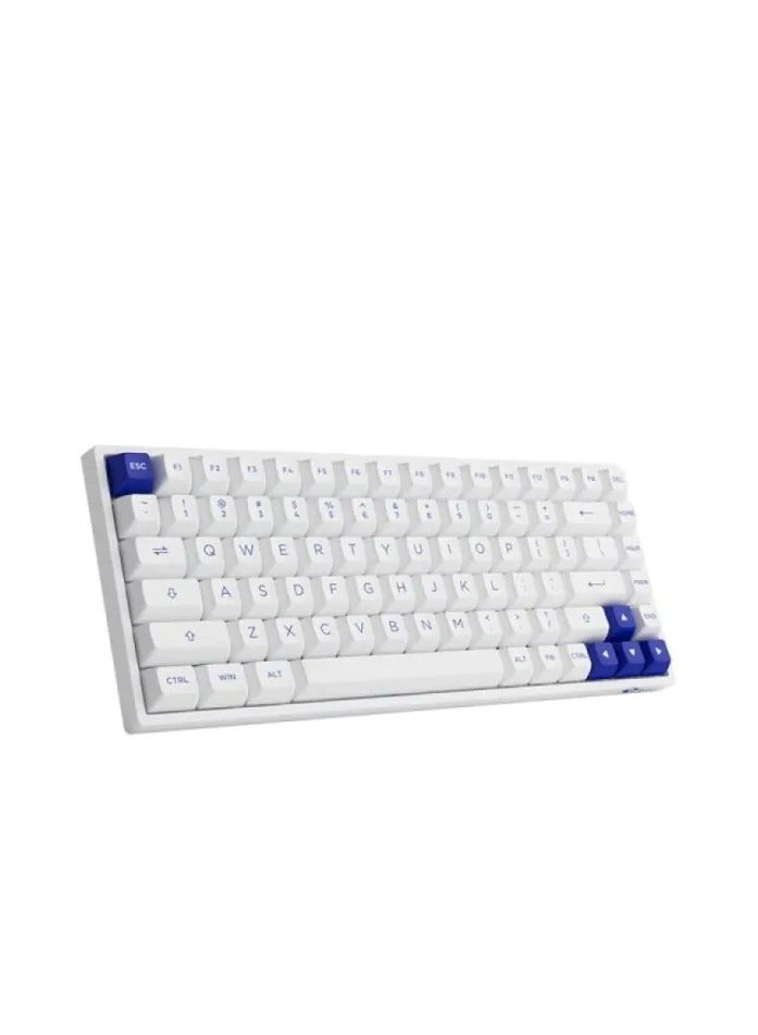 AKKO AKKO 3084B Plus White & Blue Multi-Mode Keyboard - V3 Cream Yellow  - Image 5