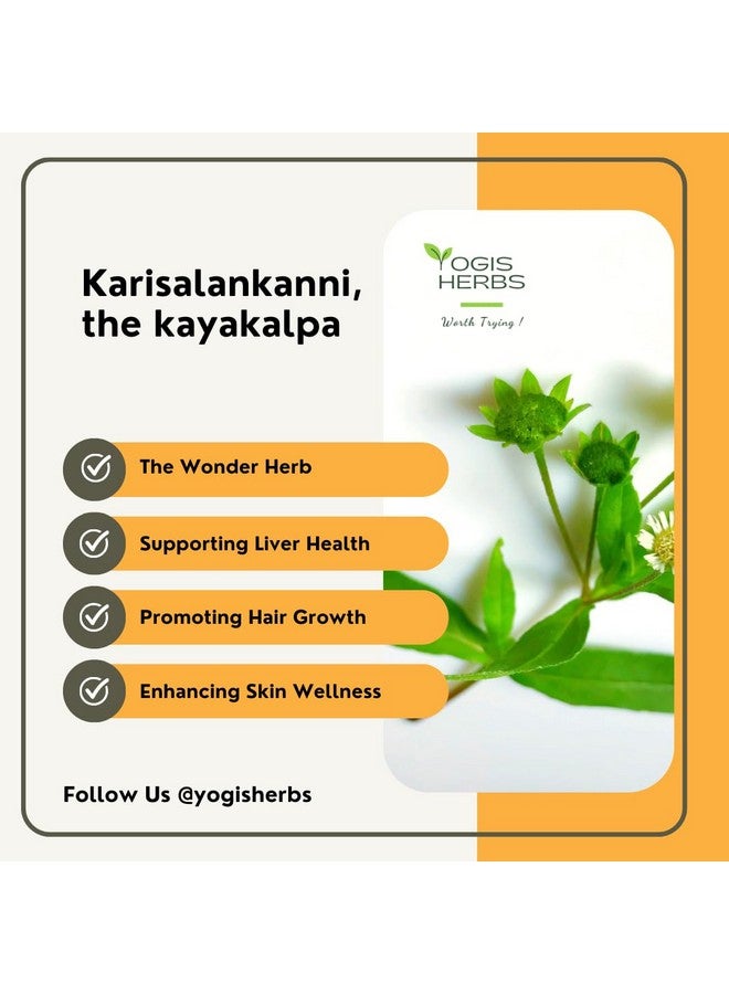 YOGIS HERBS بودرة كاريسالانكانّي من يوجيس هيربز (إكليبتا ألبا/الأقحوان الكاذب) 1 رطل طازجة ونقية (عبوة من 1) - Image 4